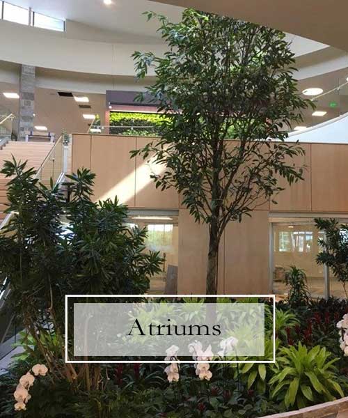 Plants for Atriums, Interior Plant Scapes