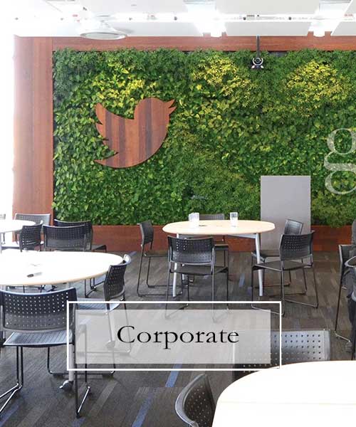Plants for Corporate Offices, Interior Plant Scapes