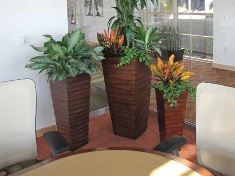 Plant Scape Containers, Interior Plant Scape of Wisconsin
