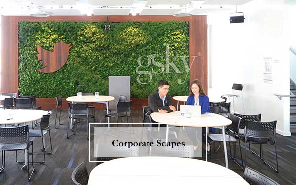 Plant Scapes For Corporate Offices
