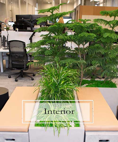 Interior Plant Scapes, Plants Bring Life To the Work Place