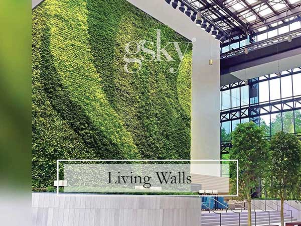 Living Plant Walls